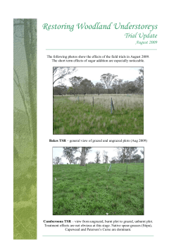 Restoring Woodland Understoreys News-sheet
