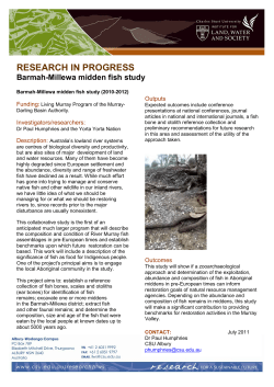 Project details PDF