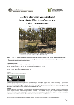 Progress Report number 3