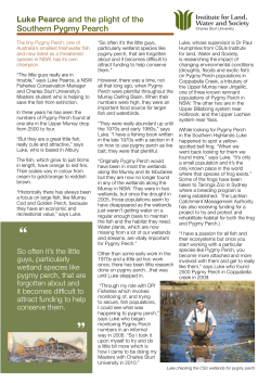 Link to PDF of story