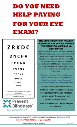 Prevent Blindness Flyer