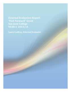 External Evaluation Year Three