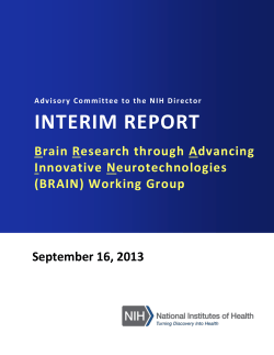 BRAIN Interim Report