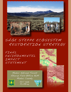Sage Steppe Ecosystem Restoration Strategy FEIS
