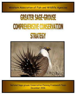 Greater sage-grouse comprehensive conservation strategy