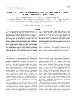 Directional acoustic radiation in the strut display of male sage grouse ( Centrocercus urophasianus)