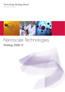 http://​www.​nibec.​ulster.​ac.​uk/​uploads/​documents/​nanoscaletechnol​ogiesstrategy.​pdf