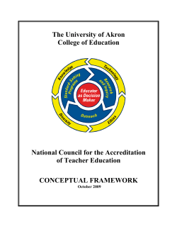 Conceptual Framework