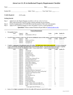 LLM Audit Form 24 credits
