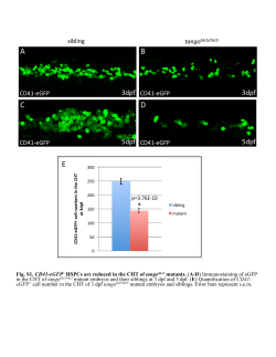 Supplementary Material