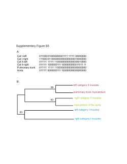 Supplemental Figure S5