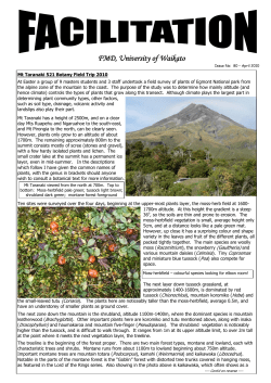 Facilitation Issue no 80 - April 2010