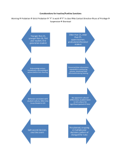 sanctioning considerations