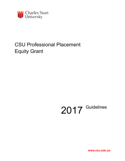 2016 CSU Professional Placement Equity Grant Guidelines