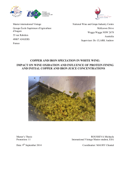 M&eacute;moire_M ROUSSEVA.pdf