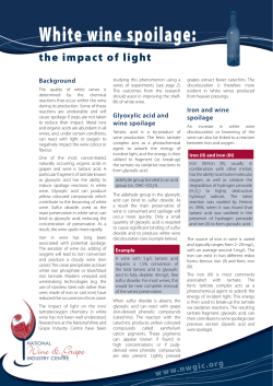 Fact Sheet 3 - Light Spoilage