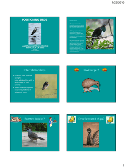 Positioning Birds: Animal Geographies and the Regulation of Space
