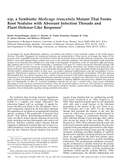 Download PDF