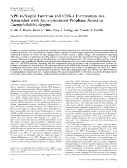 Download PDF