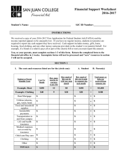 Financial Support Worksheet
