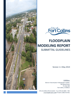 Floodplain Modeling Guidelines