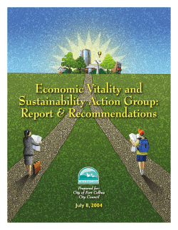 Appendix E: EVSAG Report, July 2004