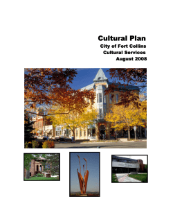 Cultural Plan