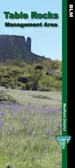 View Table Rocks Brochure Brochure