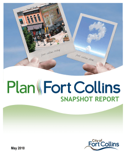 snapshot report 05202010