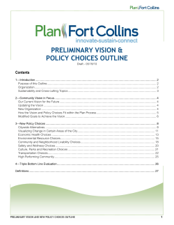 Draft Vision and Policy Choices Outline for City Council Work Session