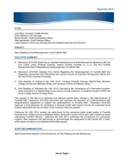 Council Agenda Item Summary
