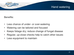 Handwatering Presentation Slides