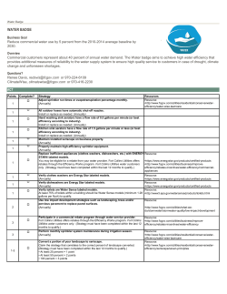 Download Water Badge Strategies Here