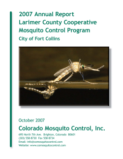 2007 Annual Report