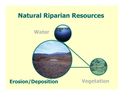 Lentic Presentations
