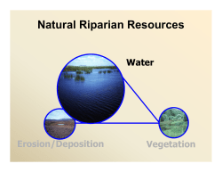 Lentic Presentations