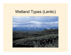 Lentic Presentations