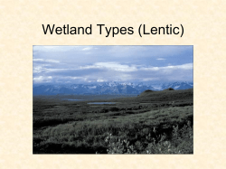 Lentic Presentations