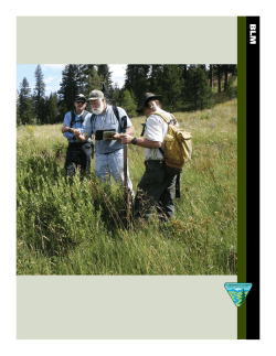 A Progress Report on the Creeks and Communities Strategy