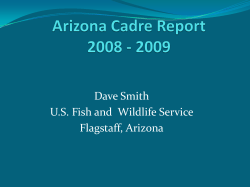Arizona