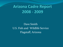 Arizona