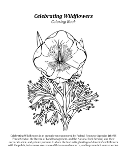 Celebrating Wildflowers Coloring Book