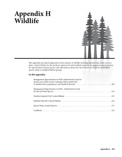 Appendix H Wildlife 4 MB