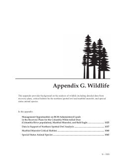 Appendix G - Wildlife