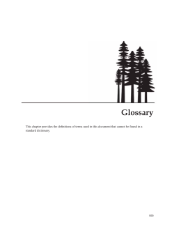 Glossary