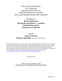 Attachment 1 - Survey Protocol Guidance For Conducting Equivalent Effort Surveys