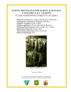 Attachment 1 - Survey Protocols for Survey and Manage Category A C Lichens