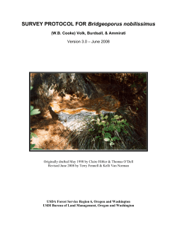 Fungi - Survey Protocol for Bridgeoporus nobilissimus