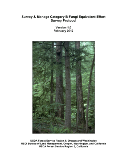 Attachment 1 - Category B Fungi Equivalent Effort Survey Protocol, Version 1