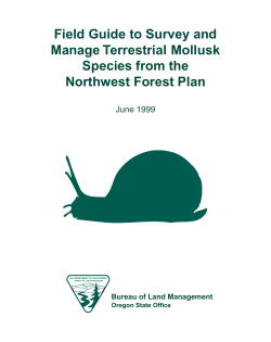 Terrestrial Mollusks - Field Guide to Survey and Manage Terrestrial Mollusk Species from the Northwest Forest Plan, 1999